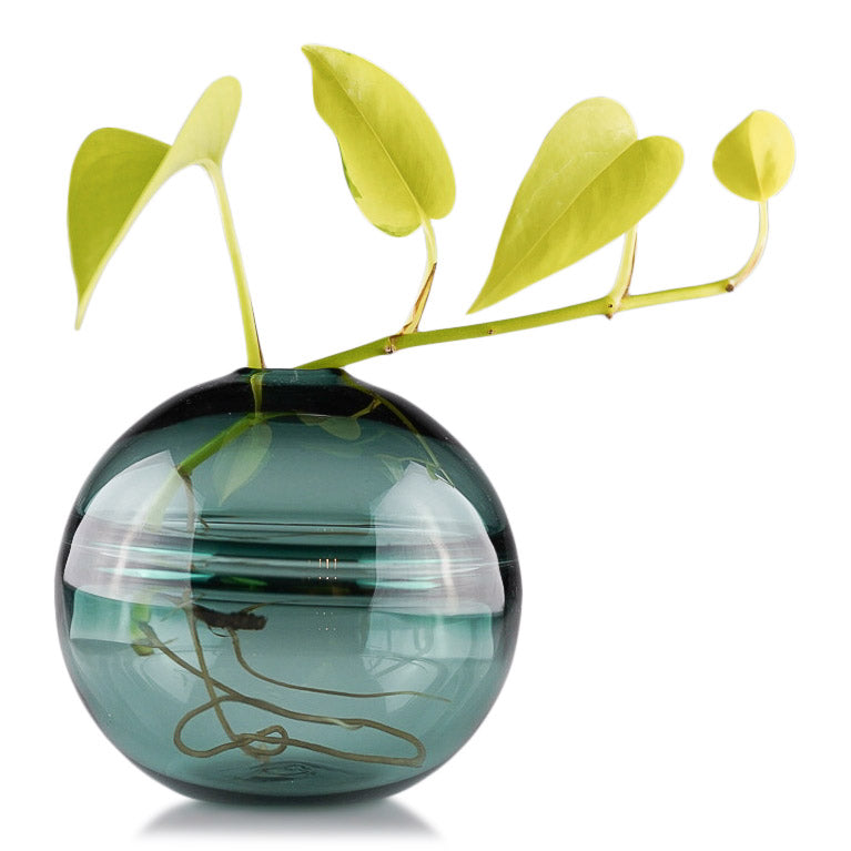 Round-bottomed halo glass vases in varying sizes, each with a small opening at the top, creating a harmonious arrangement of translucent, warm-toned spheres on a reflective surface